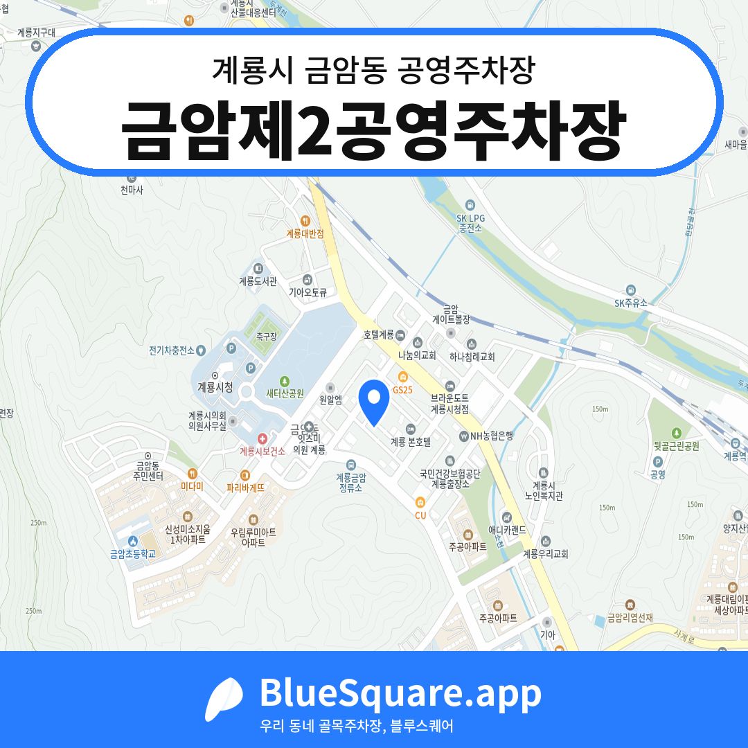 금암제2공영주차장 위치 지도 — 충남 계룡시 금암동 | 블루스퀘어 주차