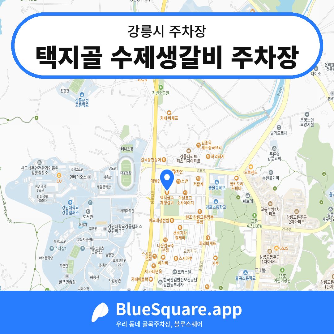 택지골 수제생갈비 주차장 위치 지도 — 강원 강릉시 | 블루스퀘어 주차