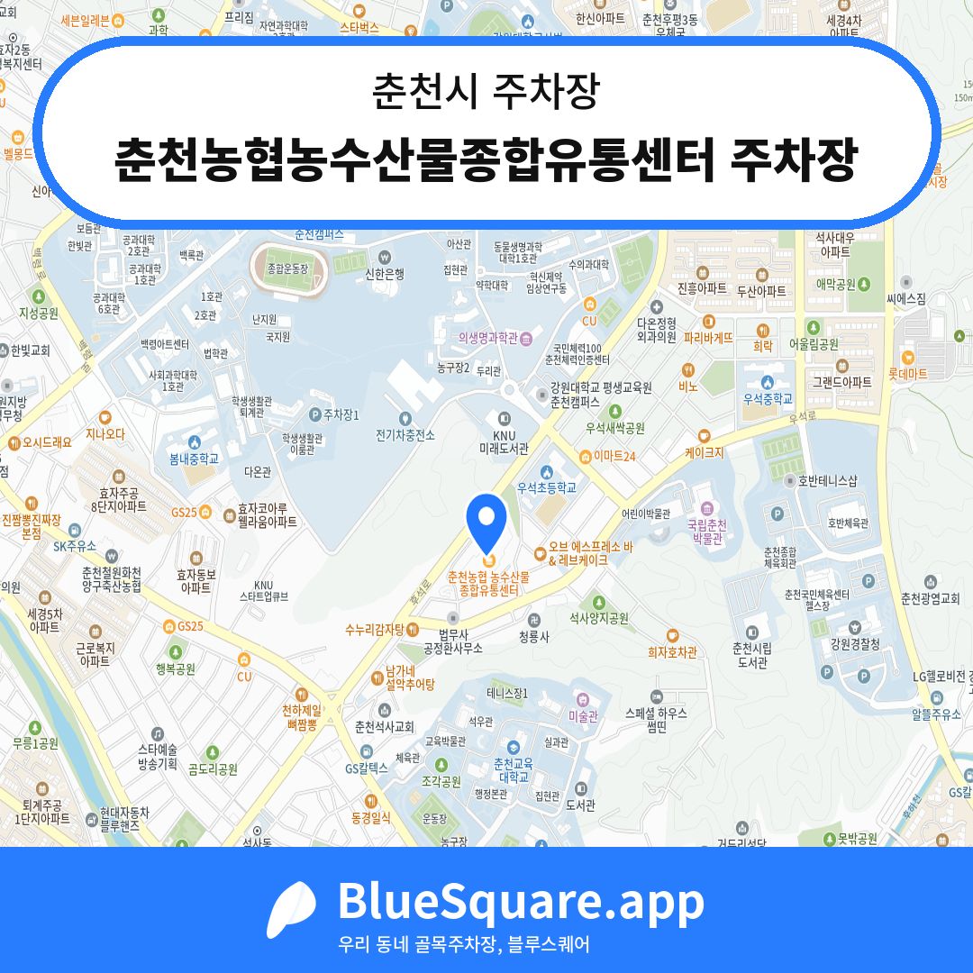 춘천농협농수산물종합유통센터 주차장 위치 지도 — 강원 춘천시 | 블루스퀘어 주차