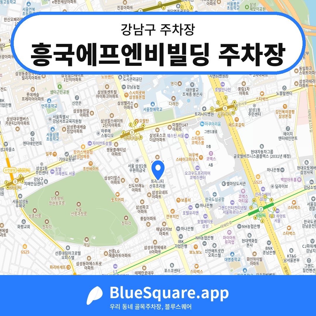 흥국에프엔비빌딩 주차장 위치 지도 — 서울 강남구 | 블루스퀘어 주차