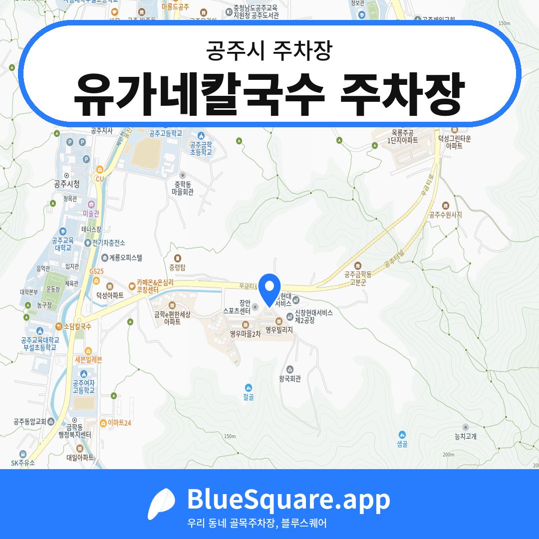 유가네칼국수 주차장 위치 지도 — 충남 공주시 | 블루스퀘어 주차