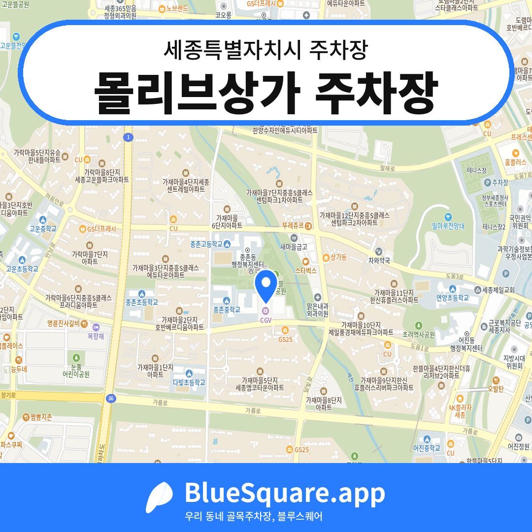 몰리브상가 주차장 위치 지도 — 세종 세종특별자치시 | 블루스퀘어 주차