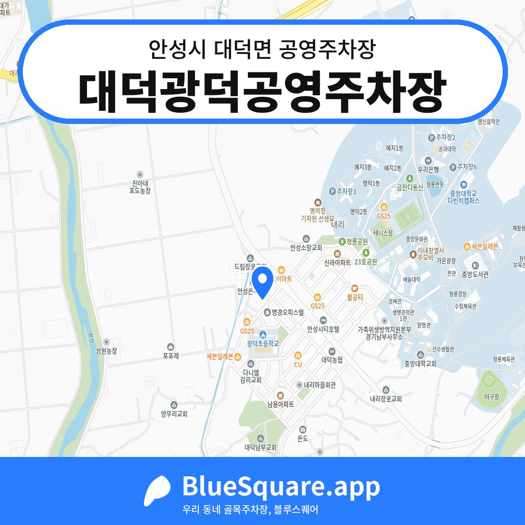 대덕광덕공영주차장 위치 지도 — 경기 안성시 대덕면 | 블루스퀘어 주차