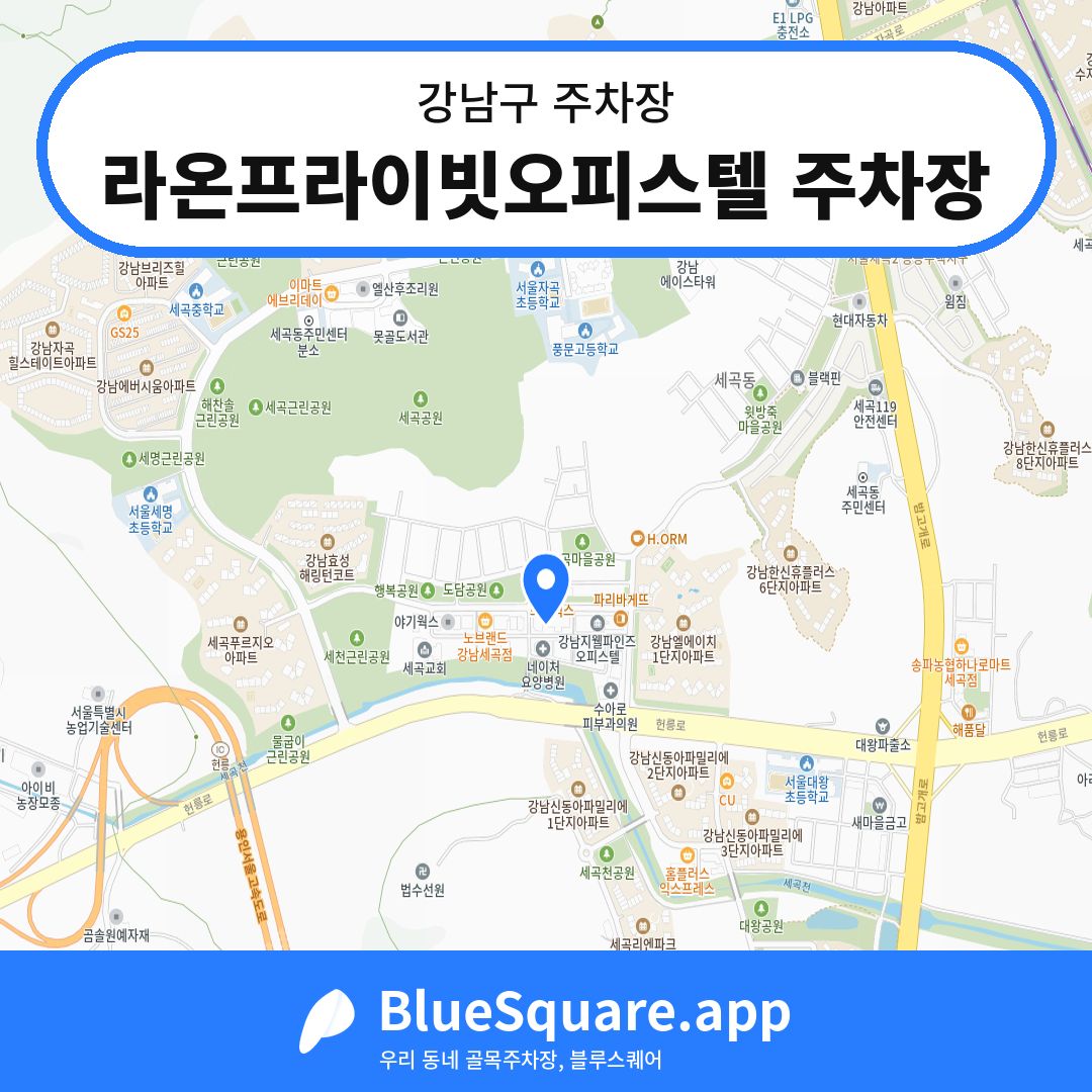 라온프라이빗오피스텔 주차장 위치 지도 — 서울 강남구 | 블루스퀘어 주차