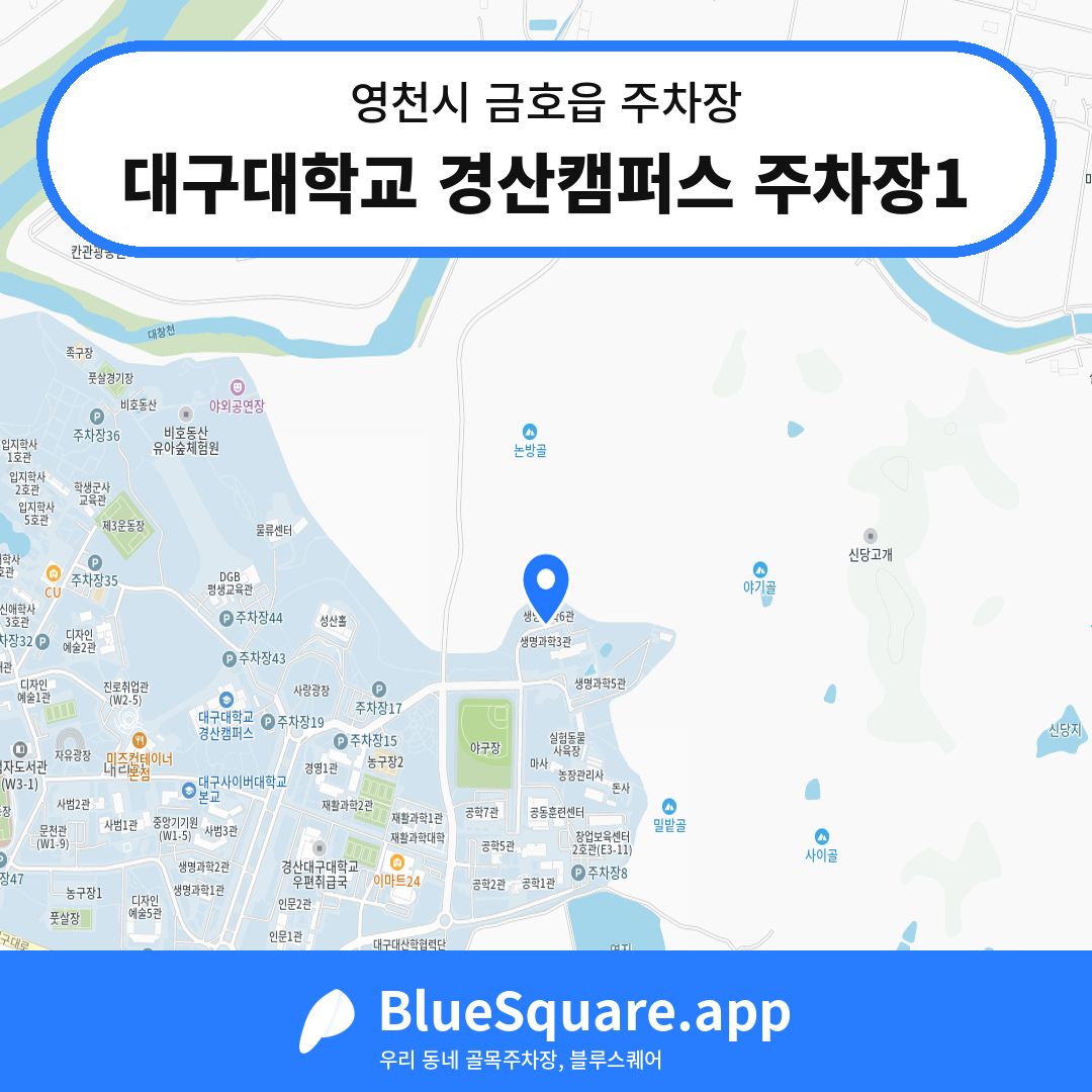 대구대학교 경산캠퍼스 주차장1 위치 지도 — 경북 영천시 금호읍 | 블루스퀘어 주차
