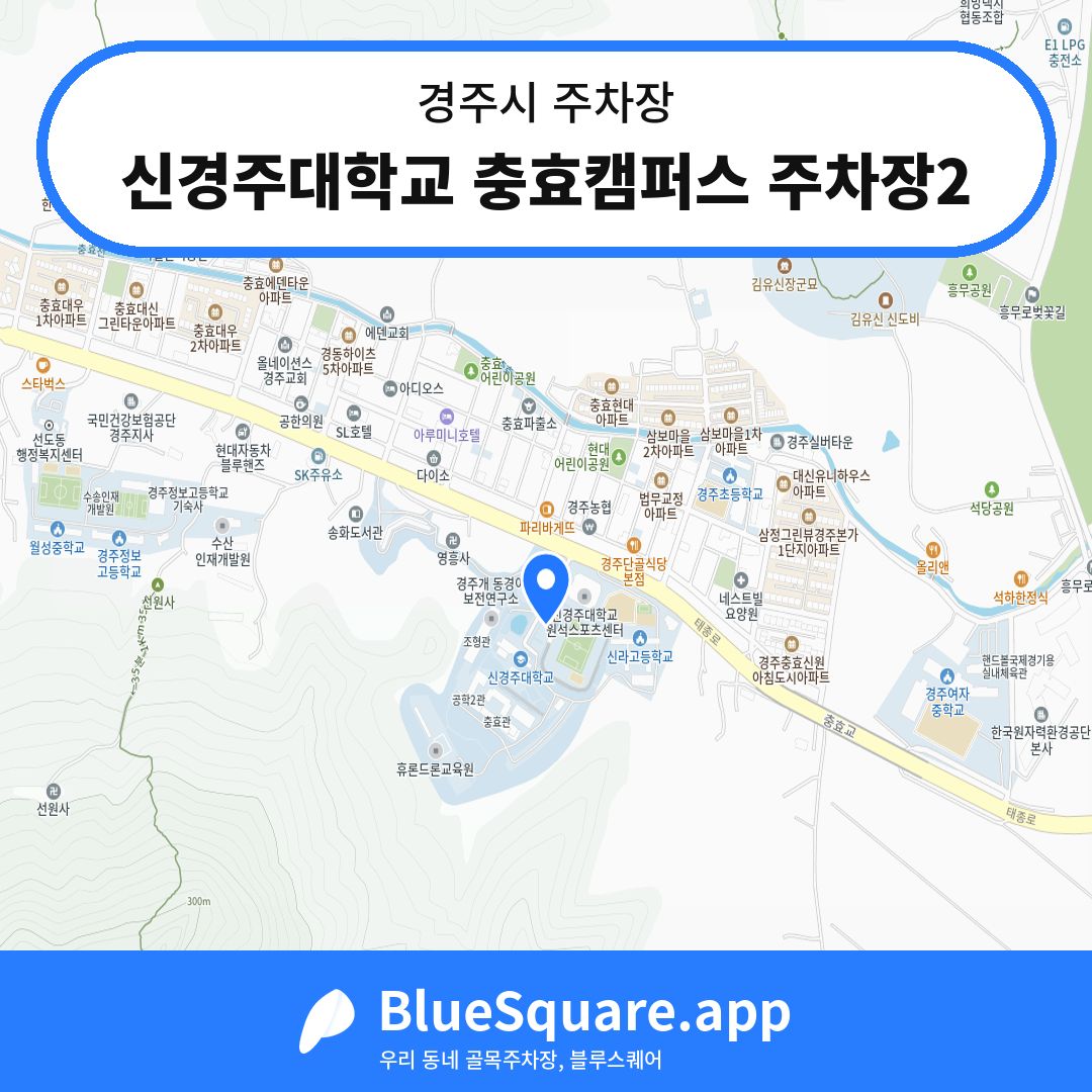 신경주대학교 충효캠퍼스 주차장2 위치 지도 — 경북 경주시 | 블루스퀘어 주차