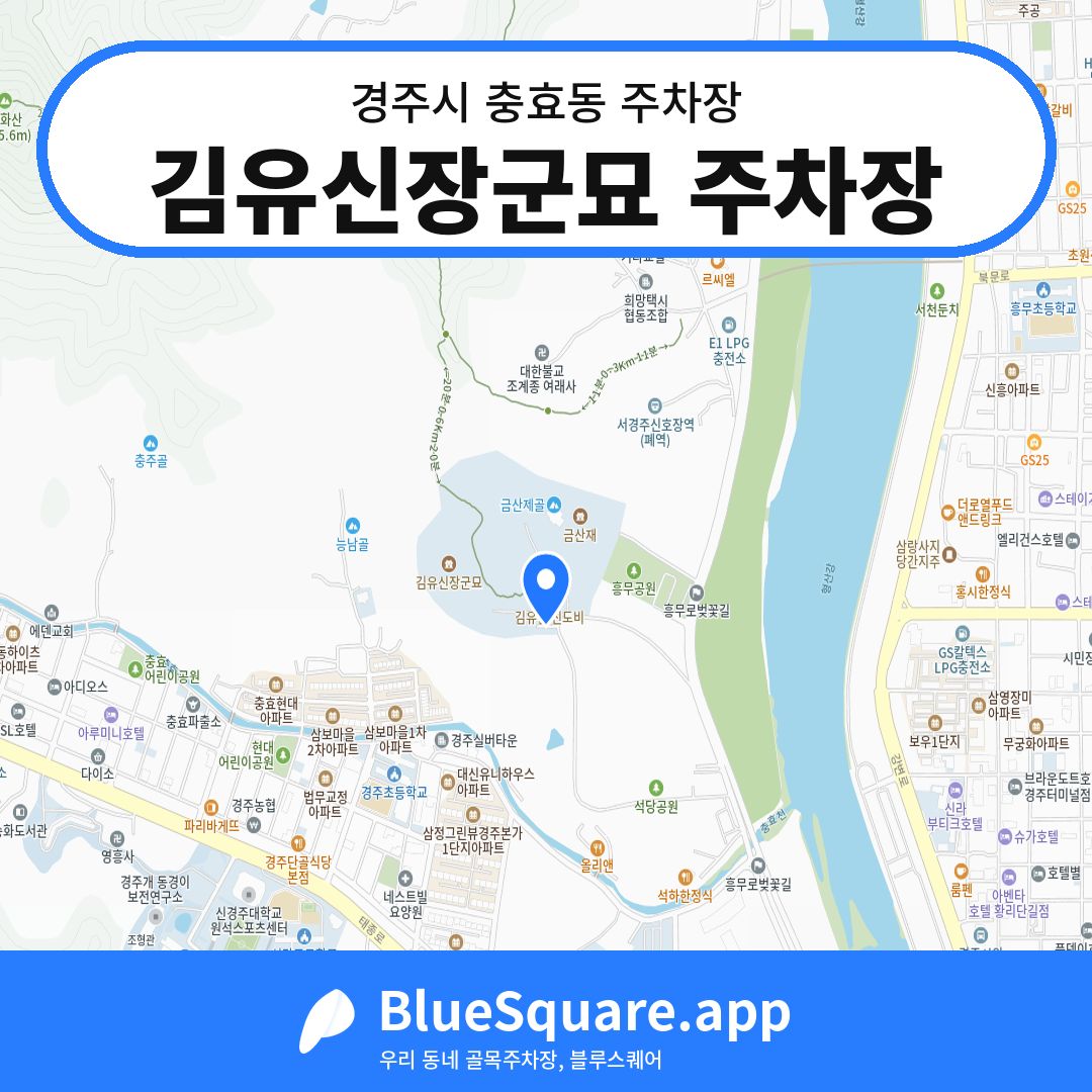 김유신장군묘 주차장 위치 지도 — 경북 경주시 충효동 | 블루스퀘어 주차