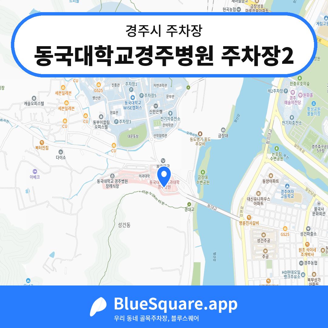 동국대학교경주병원 주차장2 위치 지도 — 경북 경주시 | 블루스퀘어 주차