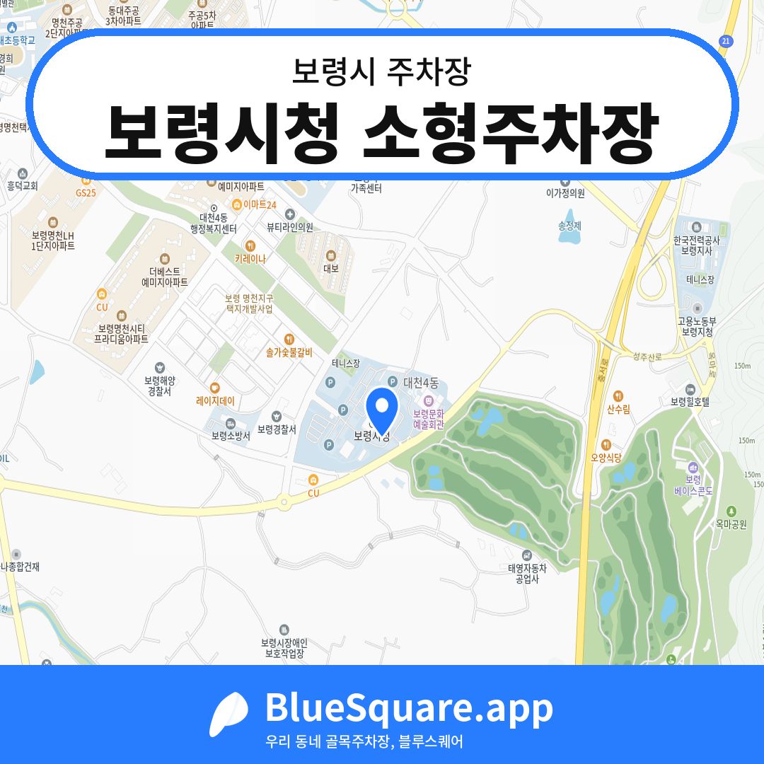 보령시청 소형주차장 위치 지도 — 충남 보령시 | 블루스퀘어 주차
