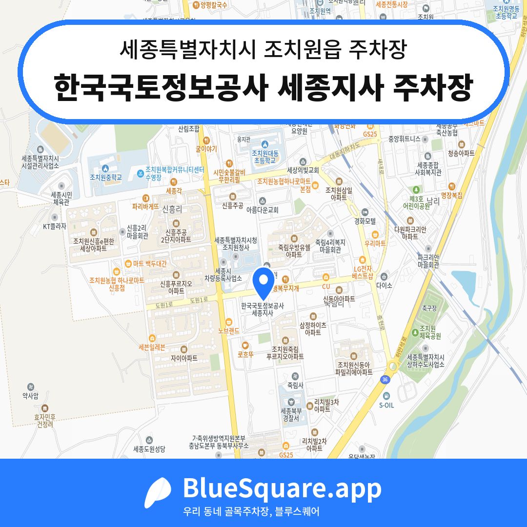 한국국토정보공사 세종지사 주차장 위치 지도 — 세종 세종특별자치시 조치원읍 | 블루스퀘어 주차
