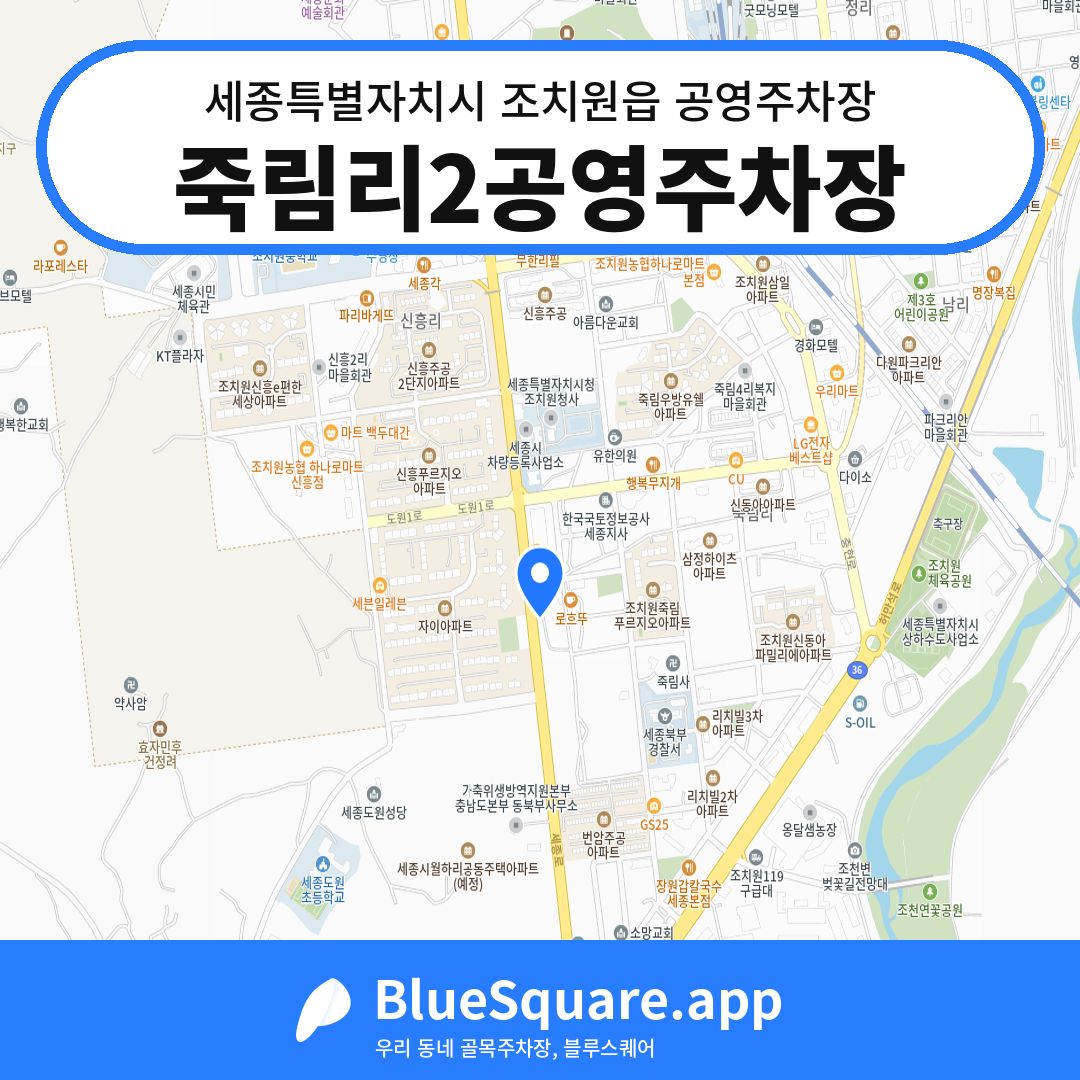 죽림리2공영주차장 위치 지도 — 세종 세종특별자치시 조치원읍 | 블루스퀘어 주차