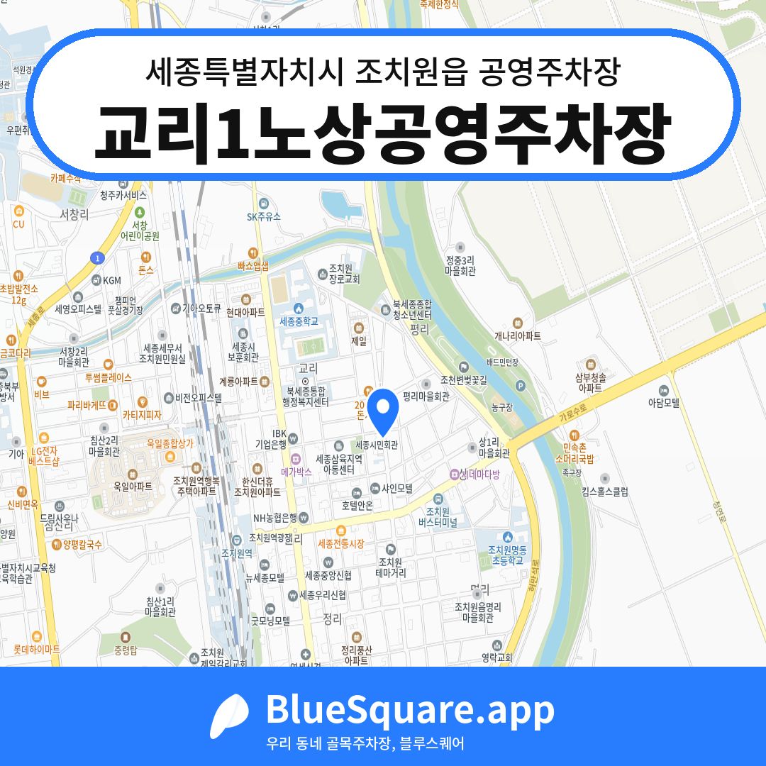 교리1노상공영주차장 위치 지도 — 세종 세종특별자치시 조치원읍 | 블루스퀘어 주차