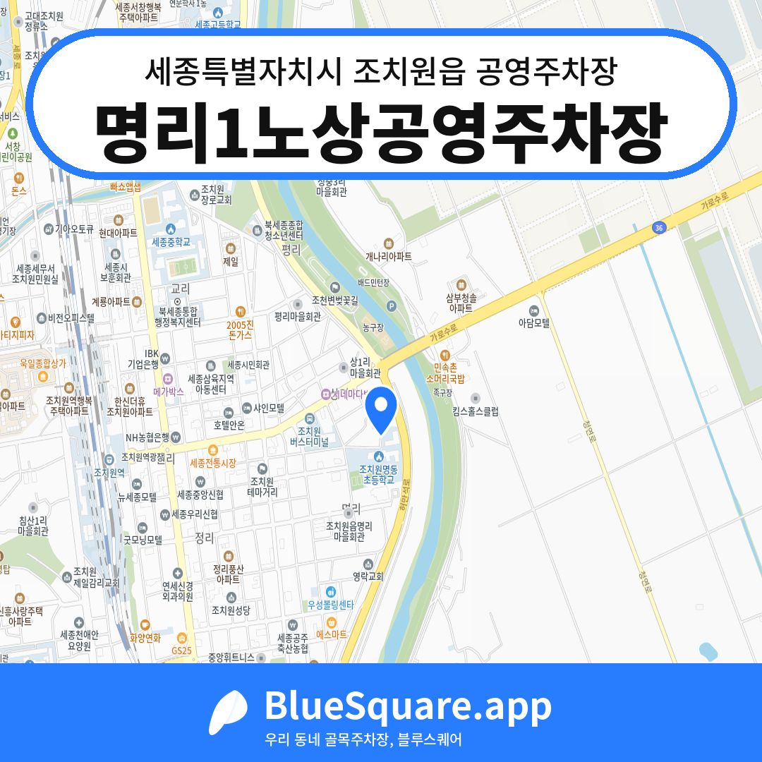 명리1노상공영주차장 위치 지도 — 세종 세종특별자치시 조치원읍 | 블루스퀘어 주차