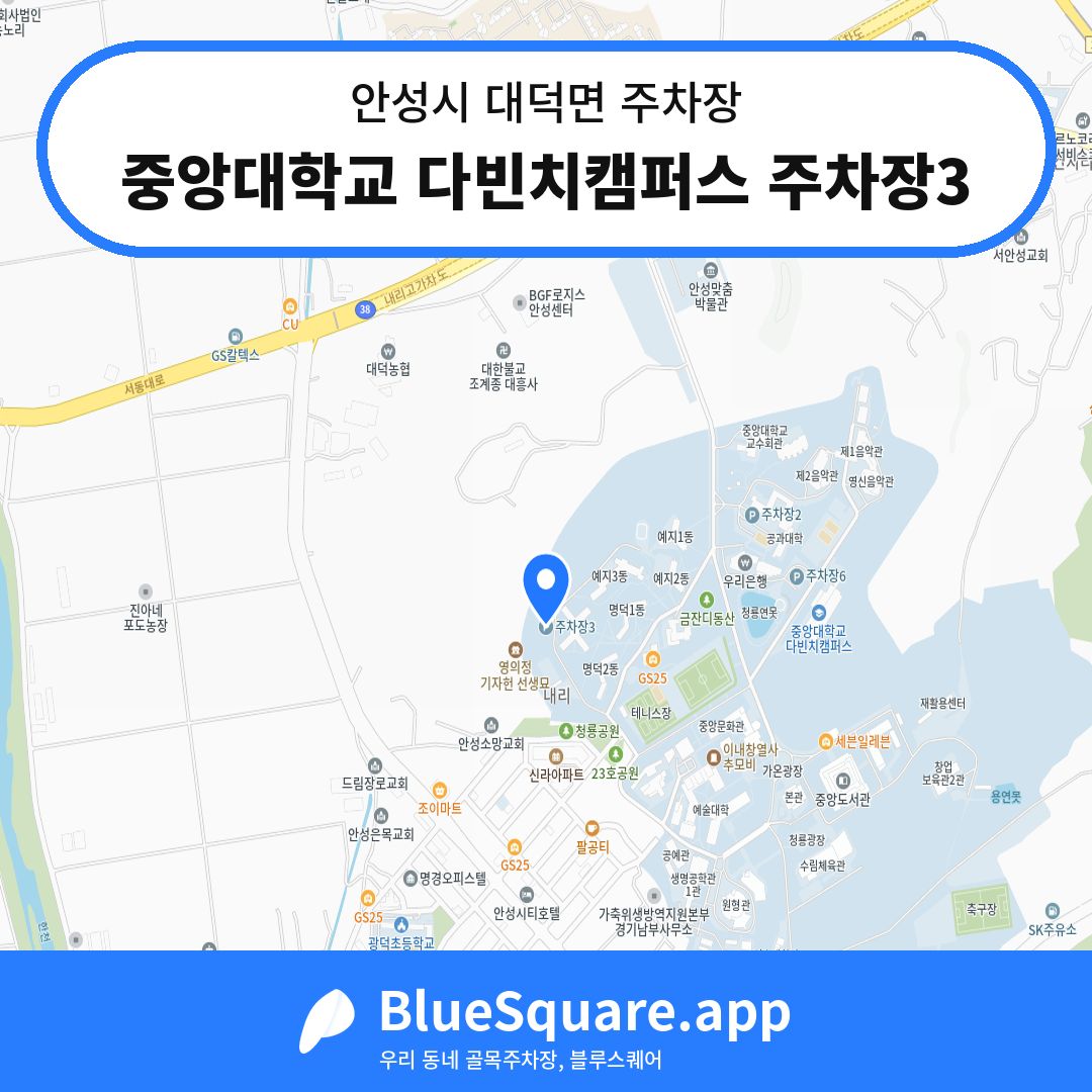 중앙대학교 다빈치캠퍼스 주차장3 위치 지도 — 경기 안성시 대덕면 | 블루스퀘어 주차