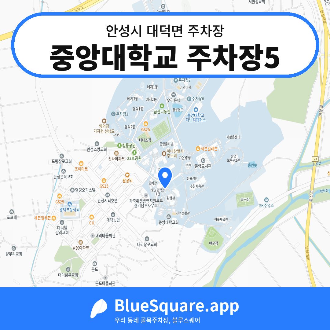 중앙대학교 주차장5 위치 지도 — 경기 안성시 대덕면 | 블루스퀘어 주차