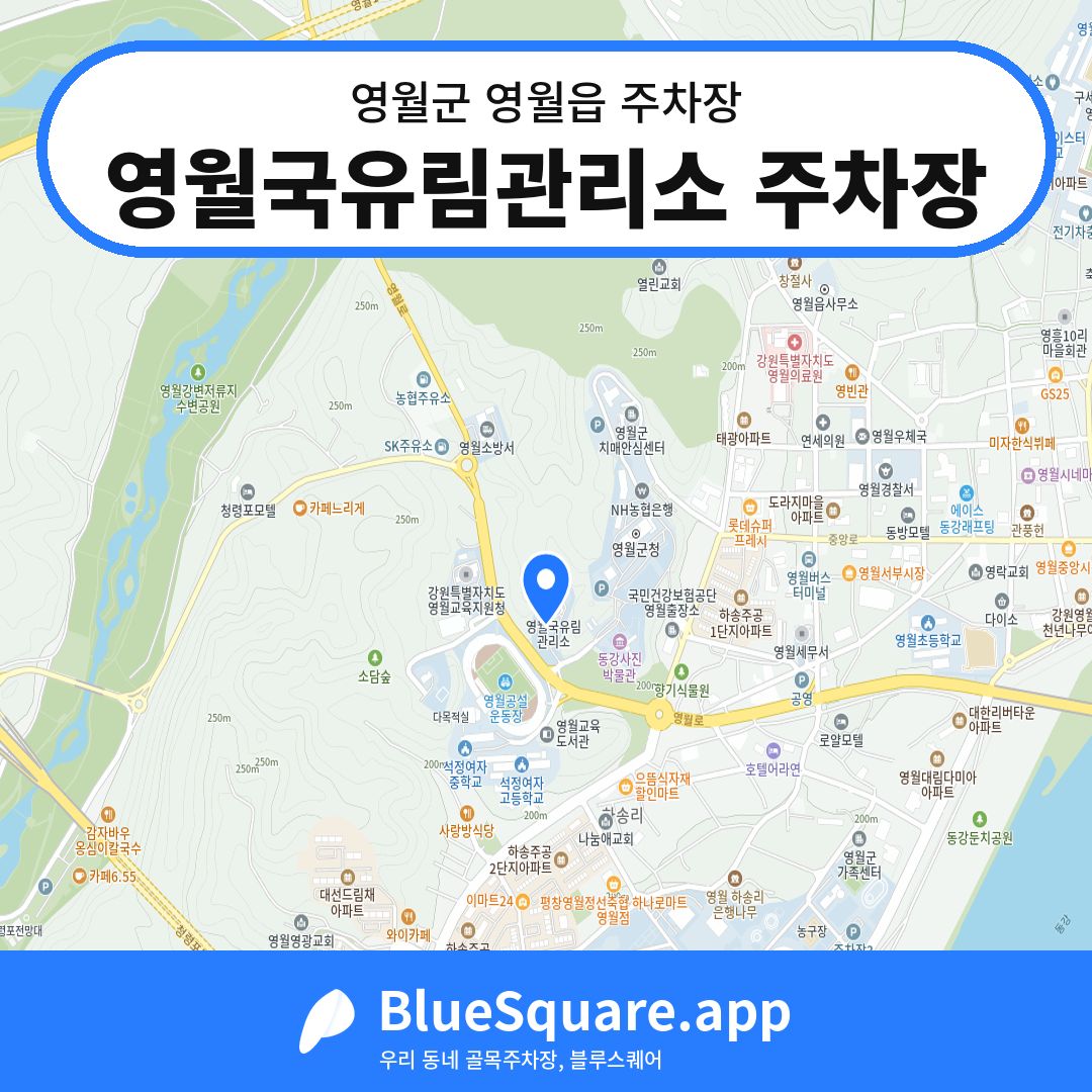 영월국유림관리소 주차장 위치 지도 — 강원 영월군 영월읍 | 블루스퀘어 주차
