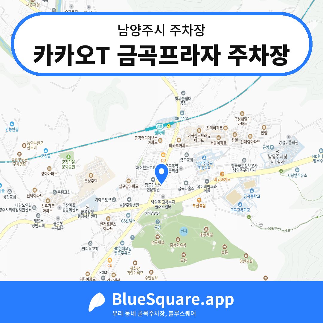 카카오T 금곡프라자 주차장 위치 지도 — 경기 남양주시 | 블루스퀘어 주차
