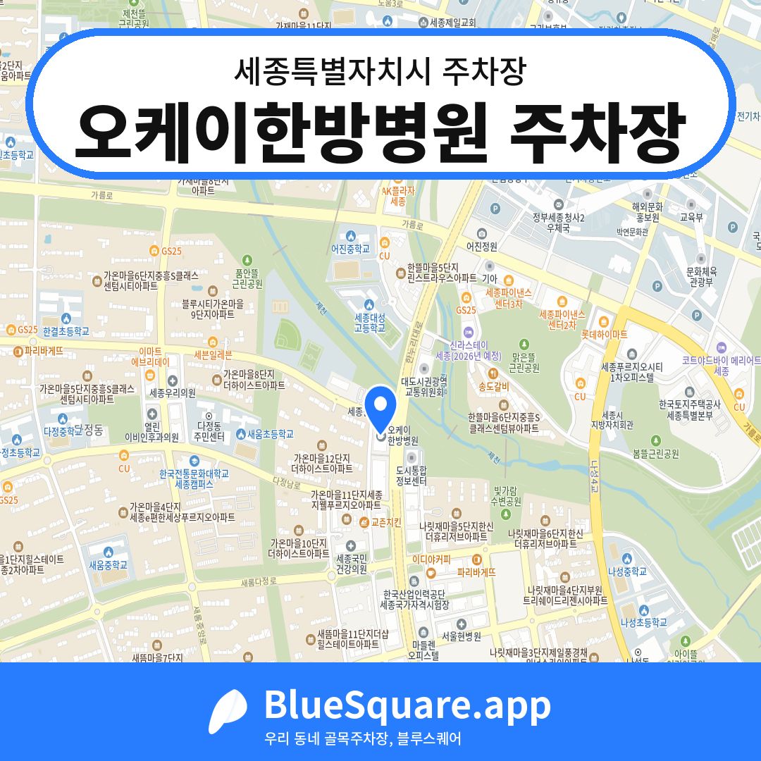 오케이한방병원 주차장 위치 지도 — 세종 세종특별자치시 | 블루스퀘어 주차