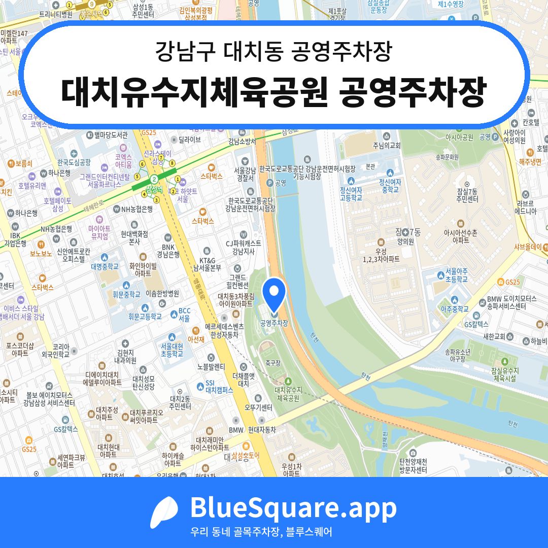 대치유수지체육공원 공영주차장 위치 지도 — 서울 강남구 대치동 | 블루스퀘어 주차
