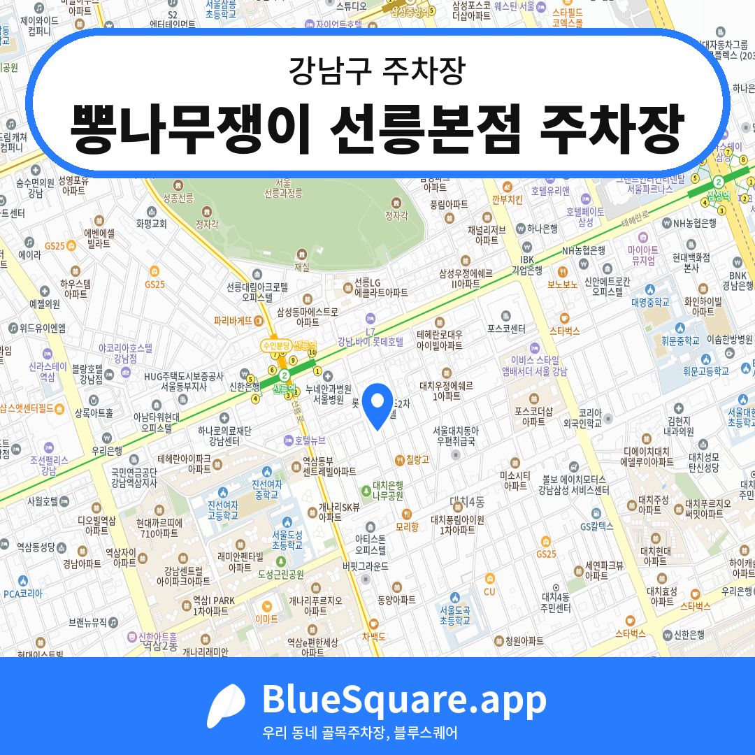 뽕나무쟁이 선릉본점 주차장 위치 지도 — 서울 강남구 | 블루스퀘어 주차