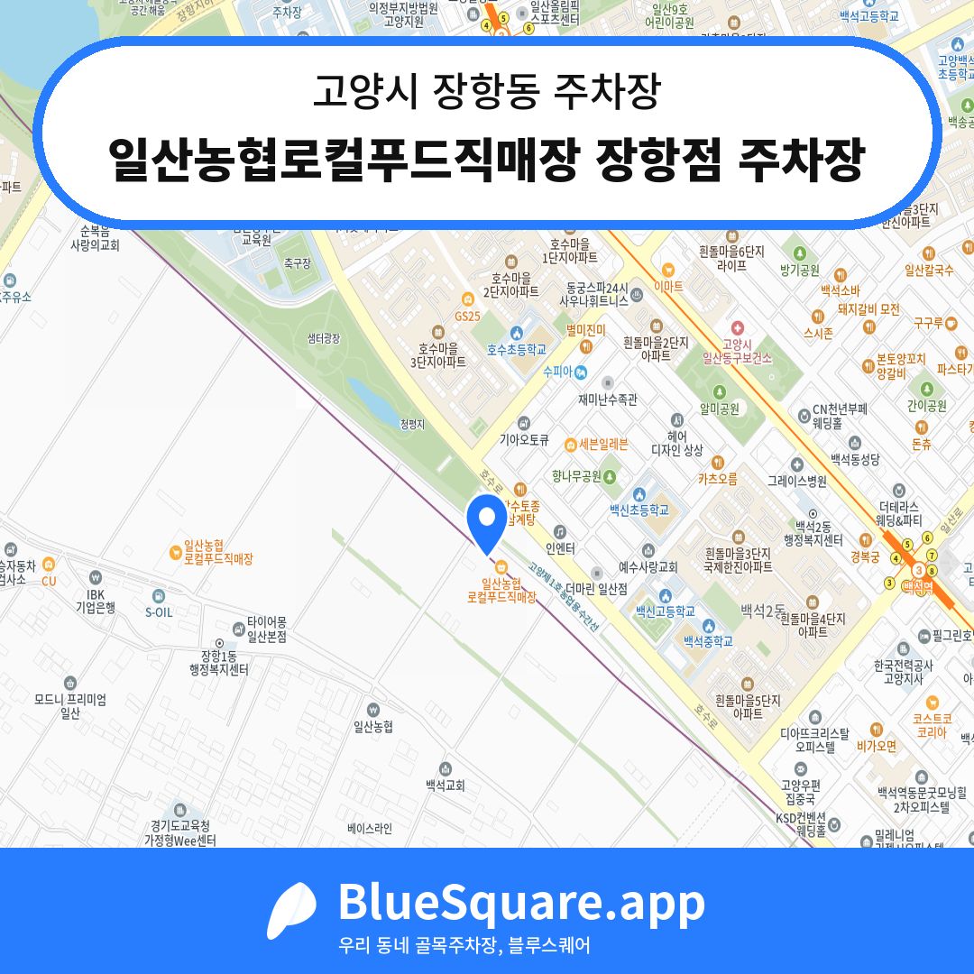일산농협로컬푸드직매장 장항점 주차장 위치 지도 — 경기 고양시 장항동 | 블루스퀘어 주차