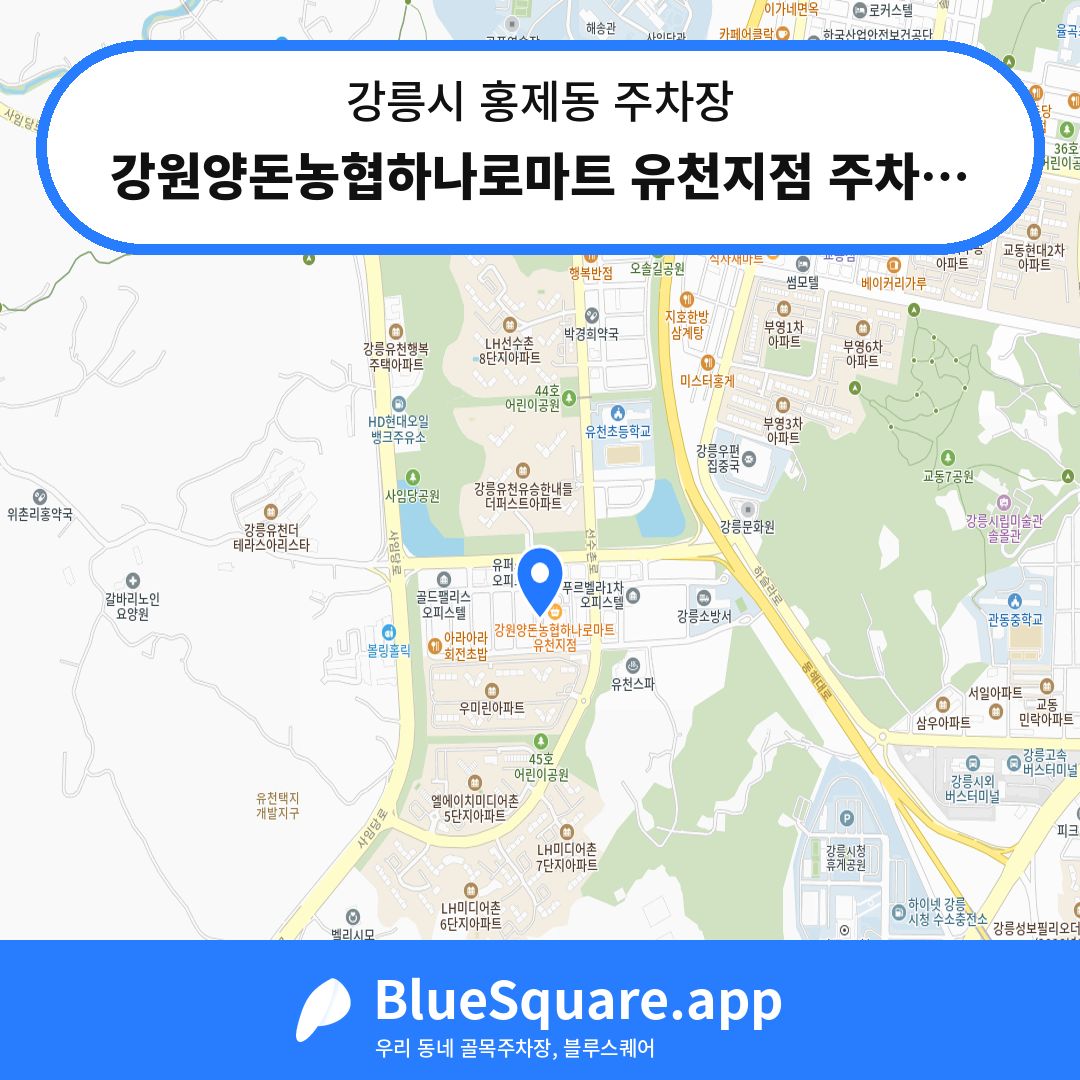 강원양돈농협하나로마트 유천지점 주차장 위치 지도 — 강원 강릉시 홍제동 | 블루스퀘어 주차