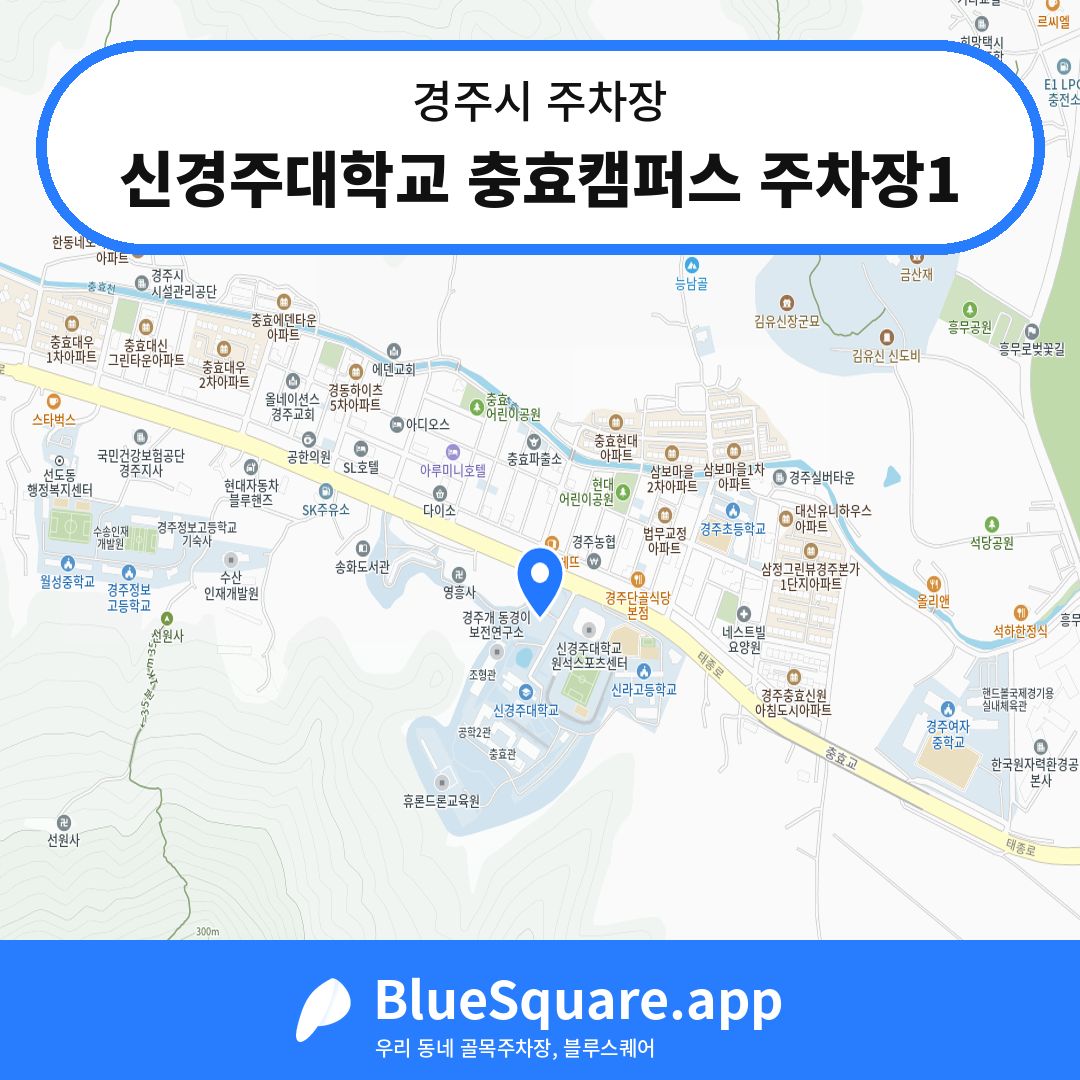 신경주대학교 충효캠퍼스 주차장1 위치 지도 — 경북 경주시 | 블루스퀘어 주차