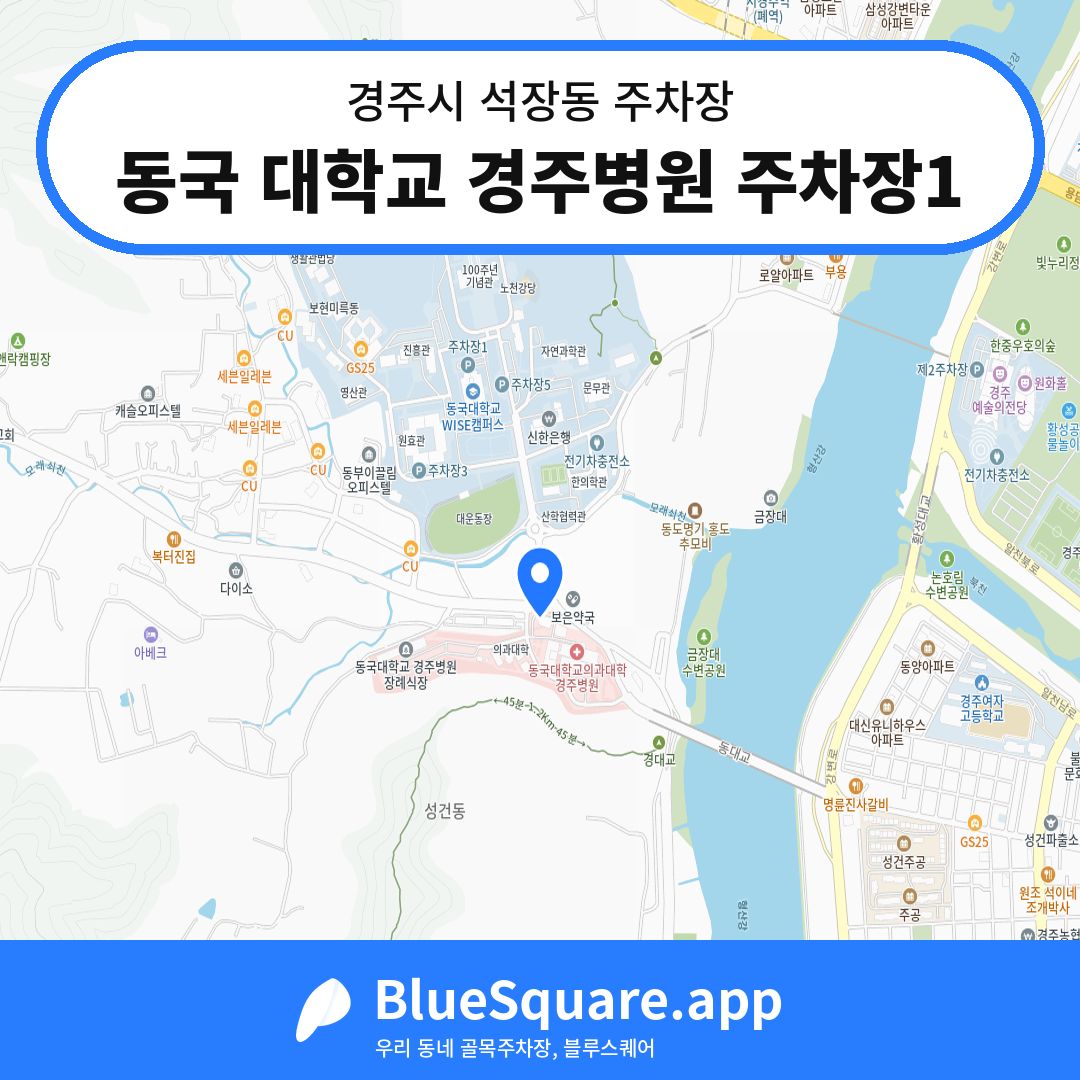 동국 대학교 경주병원 주차장1 위치 지도 — 경북 경주시 석장동 | 블루스퀘어 주차