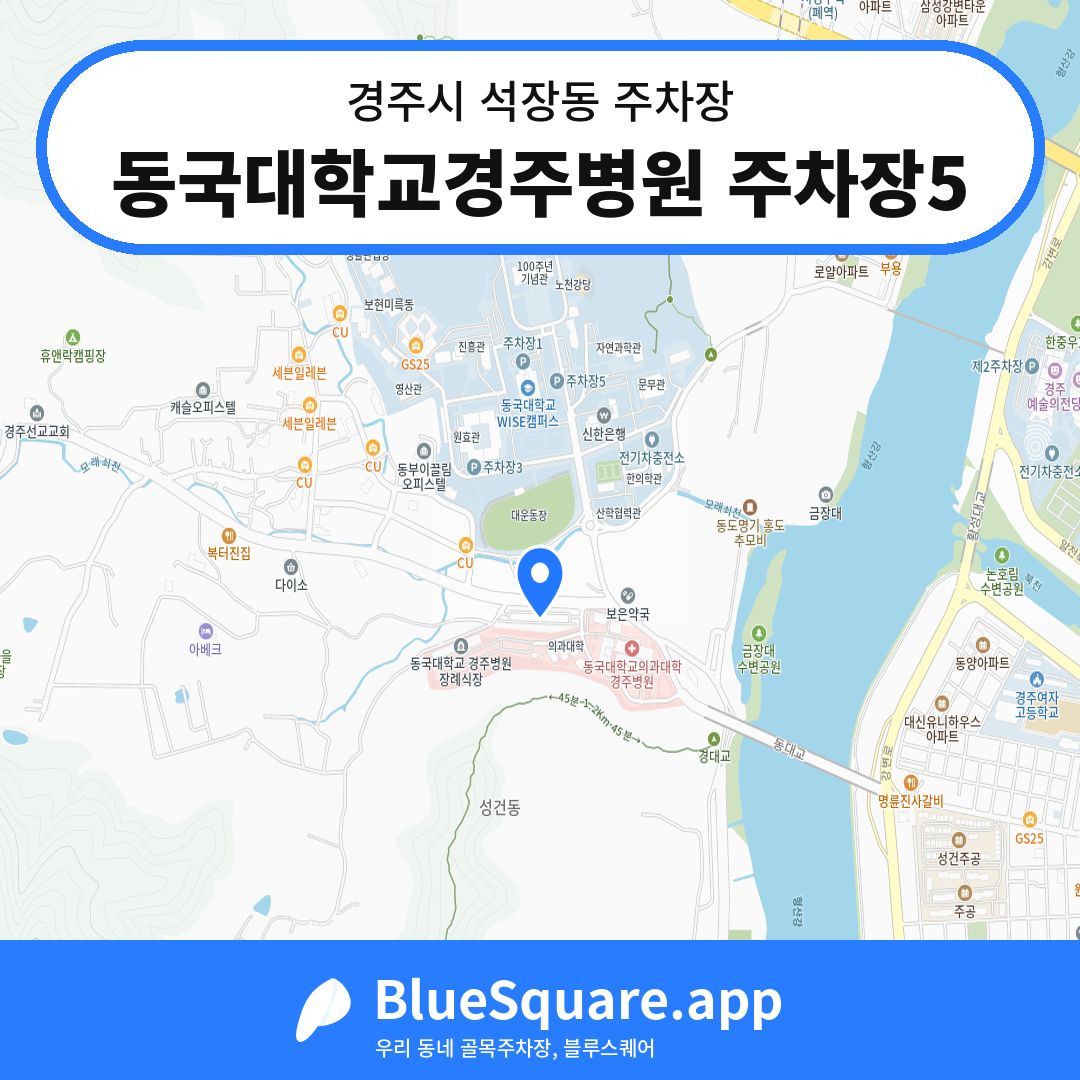 동국대학교경주병원 주차장5 위치 지도 — 경북 경주시 석장동 | 블루스퀘어 주차