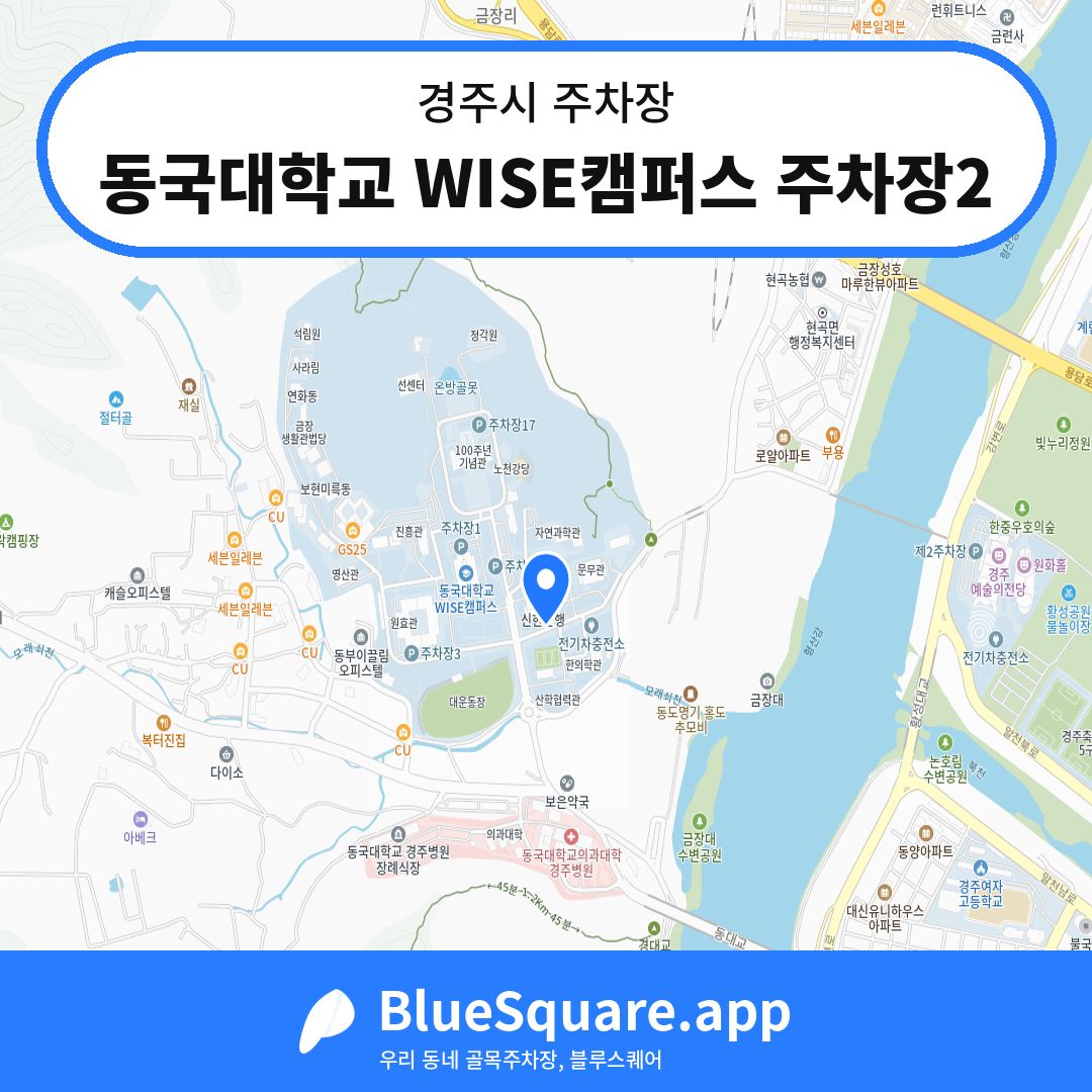 동국대학교 WISE캠퍼스 주차장2 위치 지도 — 경북 경주시 | 블루스퀘어 주차