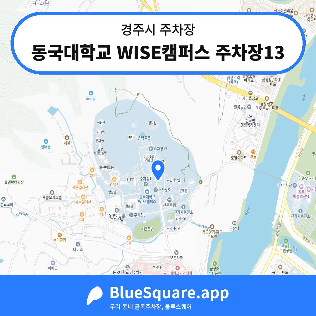 동국대학교 WISE캠퍼스 주차장13 위치 지도 — 경북 경주시 | 블루스퀘어 주차