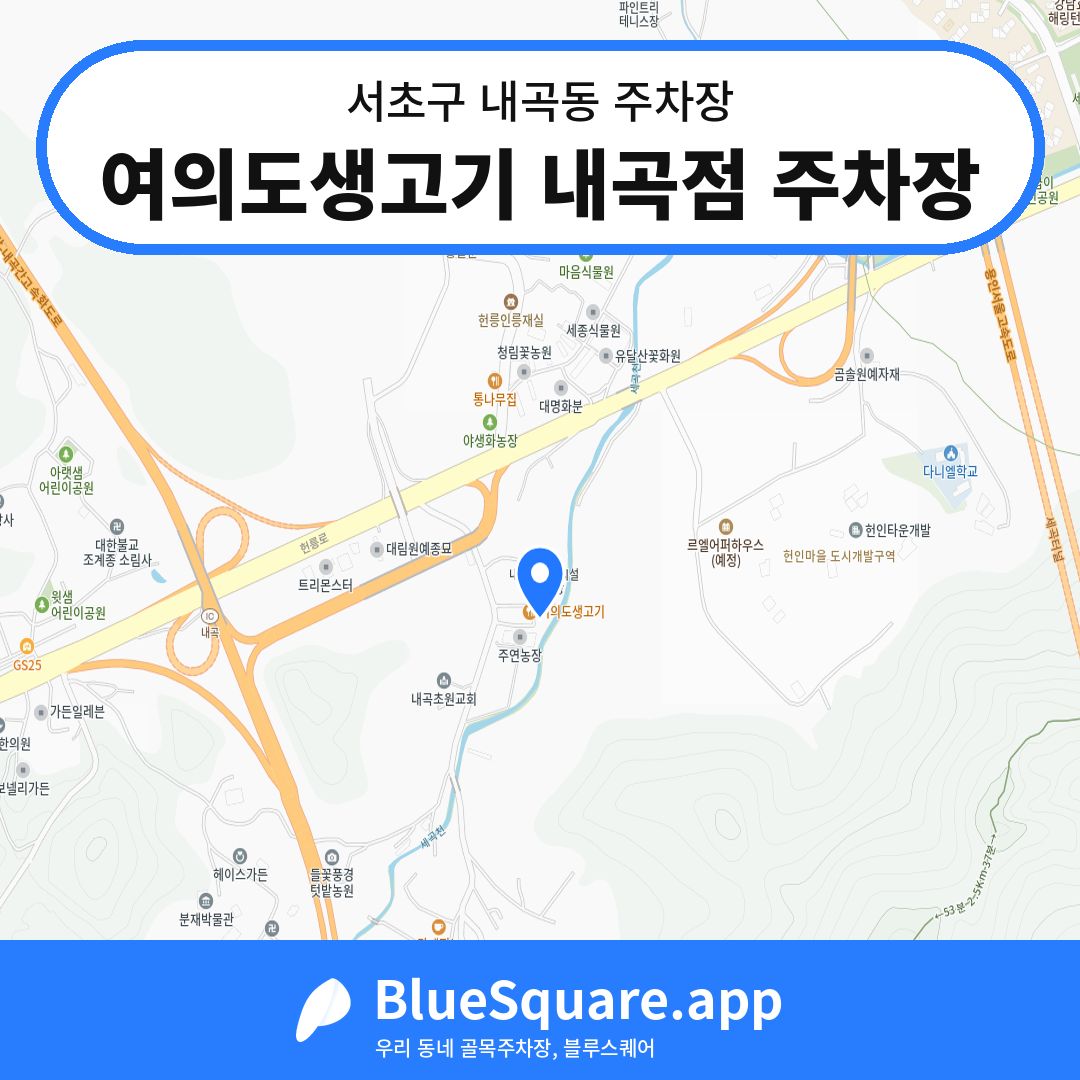여의도생고기 내곡점 주차장 위치 지도 — 서울 서초구 내곡동 | 블루스퀘어 주차