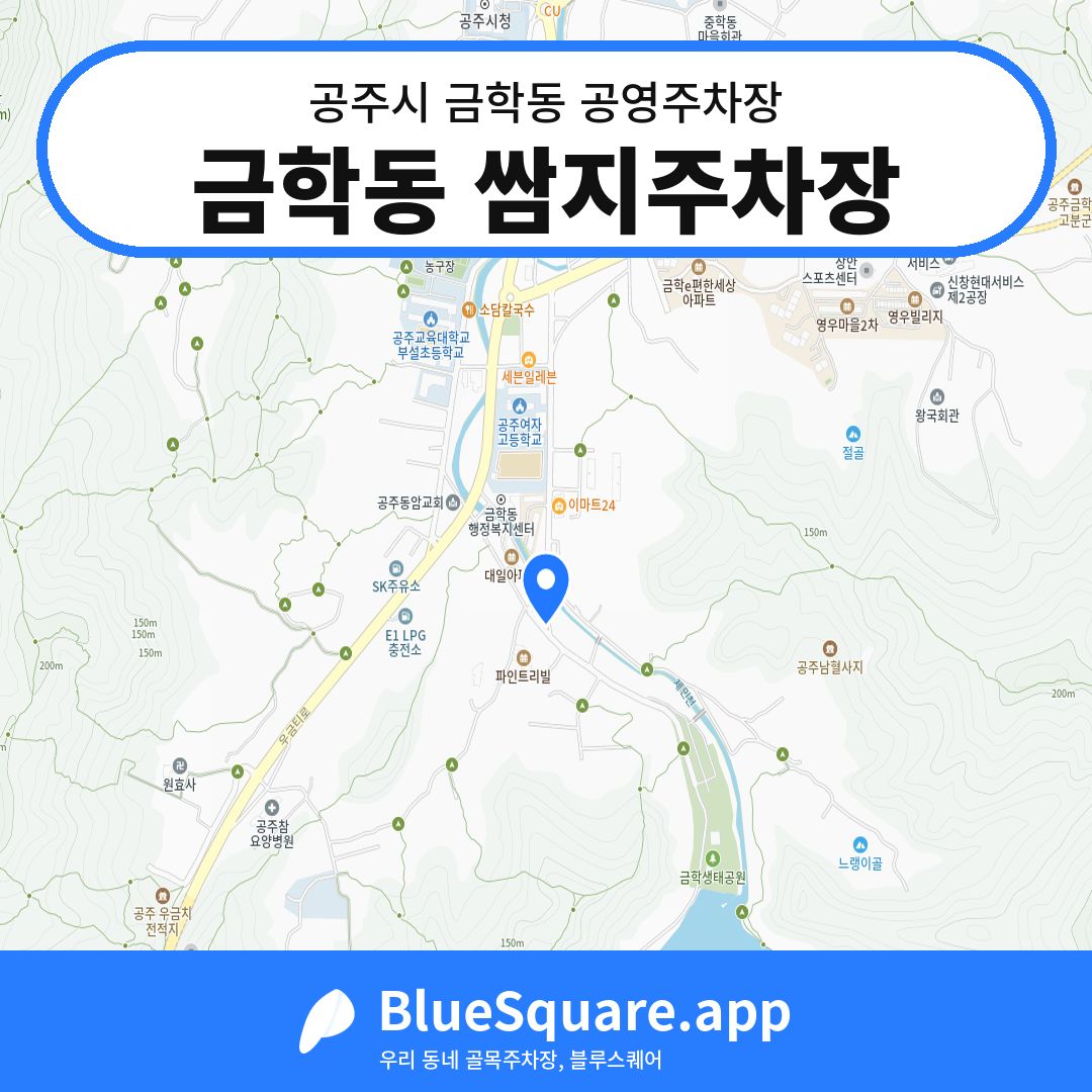 금학동 쌈지주차장 위치 지도 — 충남 공주시 금학동 | 블루스퀘어 주차