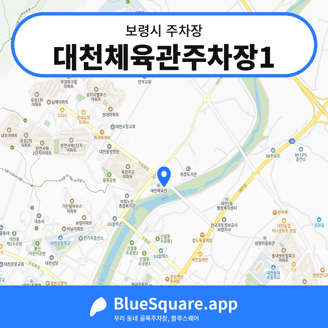 대천체육관주차장1 위치 지도 — 충남 보령시 | 블루스퀘어 주차