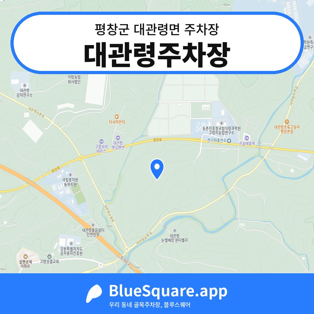 대관령주차장 위치 지도 — 강원 평창군 대관령면 | 블루스퀘어 주차