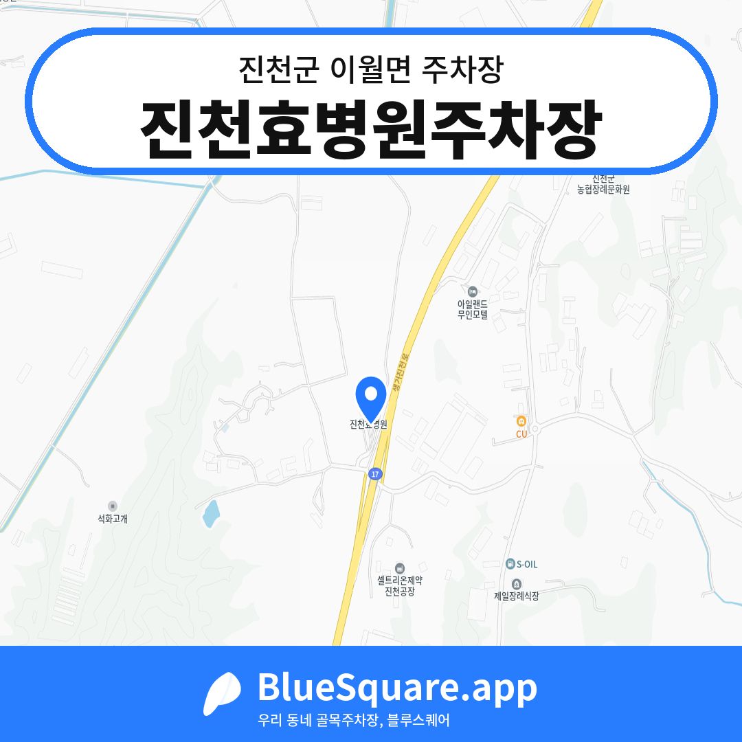진천효병원주차장 위치 지도 — 충북 진천군 이월면 | 블루스퀘어 주차