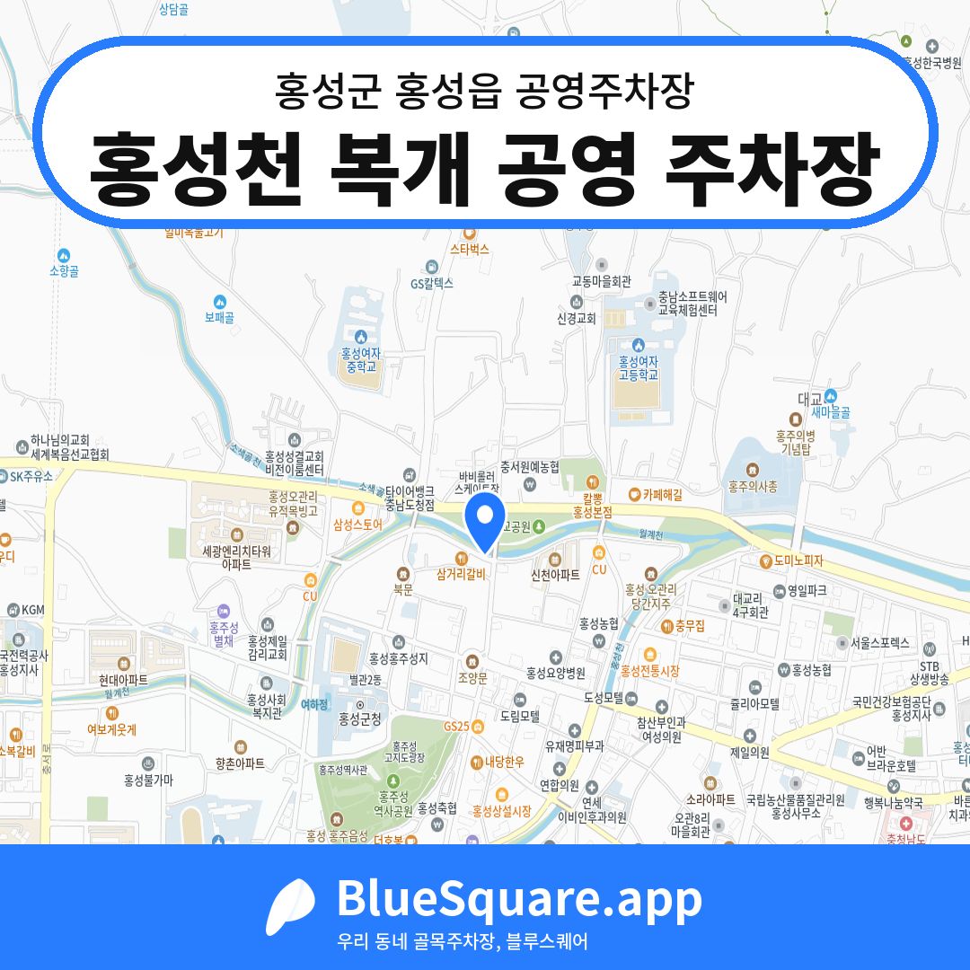 홍성천 복개 공영 주차장 위치 지도 — 충남 홍성군 홍성읍 | 블루스퀘어 주차