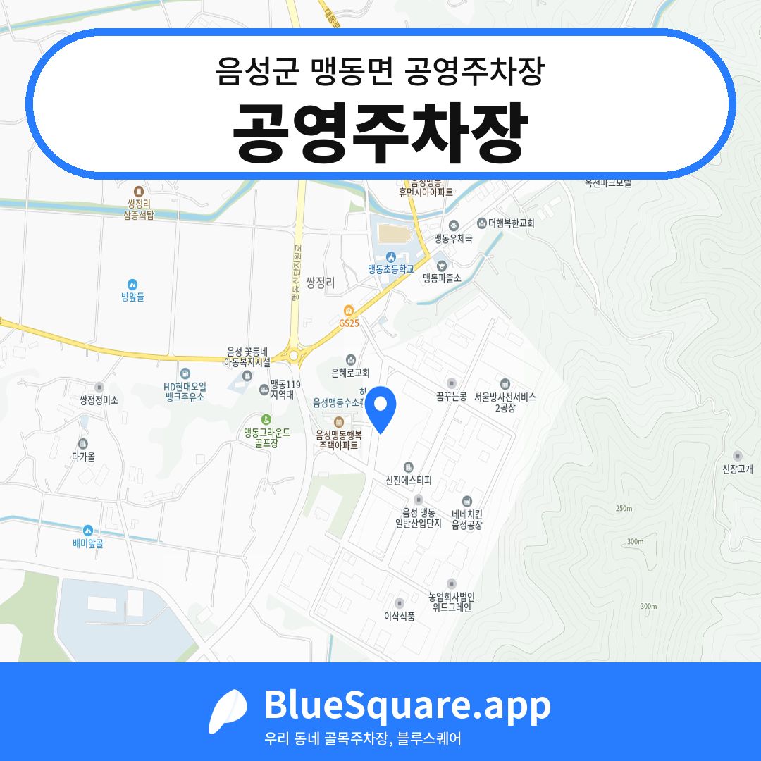 공영주차장 위치 지도 — 충북 음성군 맹동면 | 블루스퀘어 주차