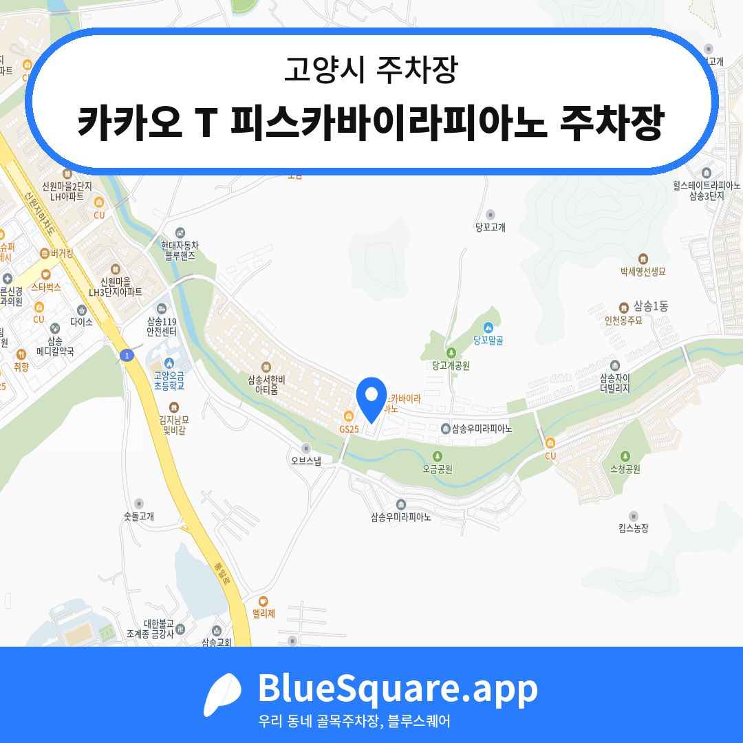 카카오 T 피스카바이라피아노 주차장 위치 지도 — 경기 고양시 | 블루스퀘어 주차