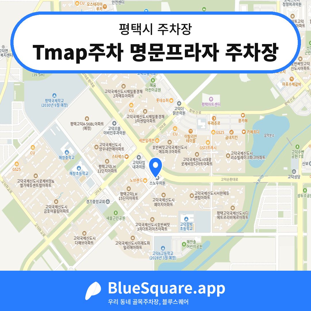 Tmap주차 명문프라자 주차장 위치 지도 — 경기 평택시 | 블루스퀘어 주차