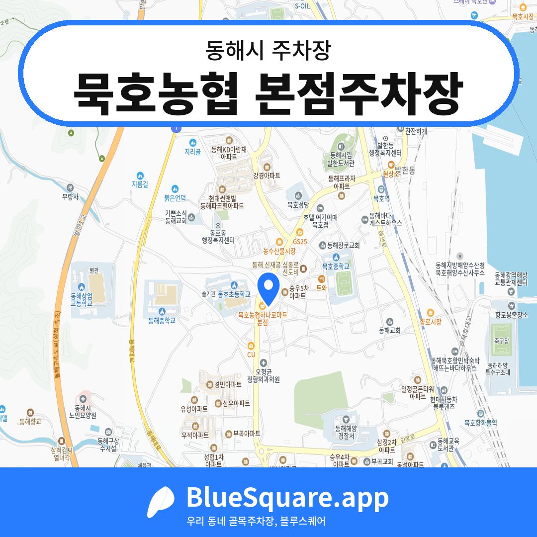 묵호농협 본점주차장 위치 지도 — 강원 동해시 | 블루스퀘어 주차