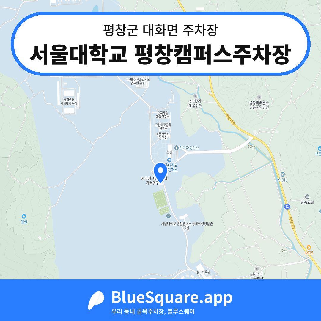 서울대학교 평창캠퍼스주차장 위치 지도 — 강원 평창군 대화면 | 블루스퀘어 주차