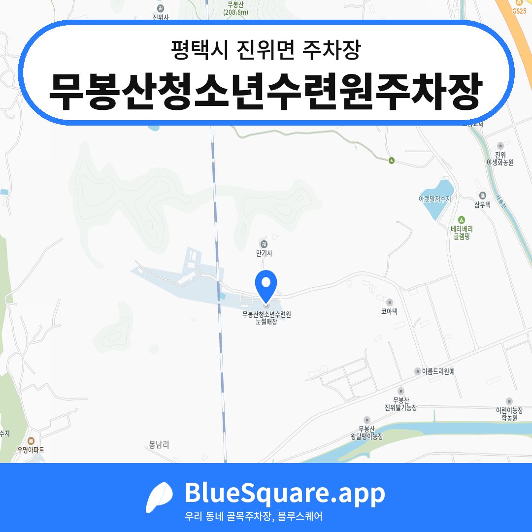 무봉산청소년수련원주차장 위치 지도 — 경기 평택시 진위면 | 블루스퀘어 주차