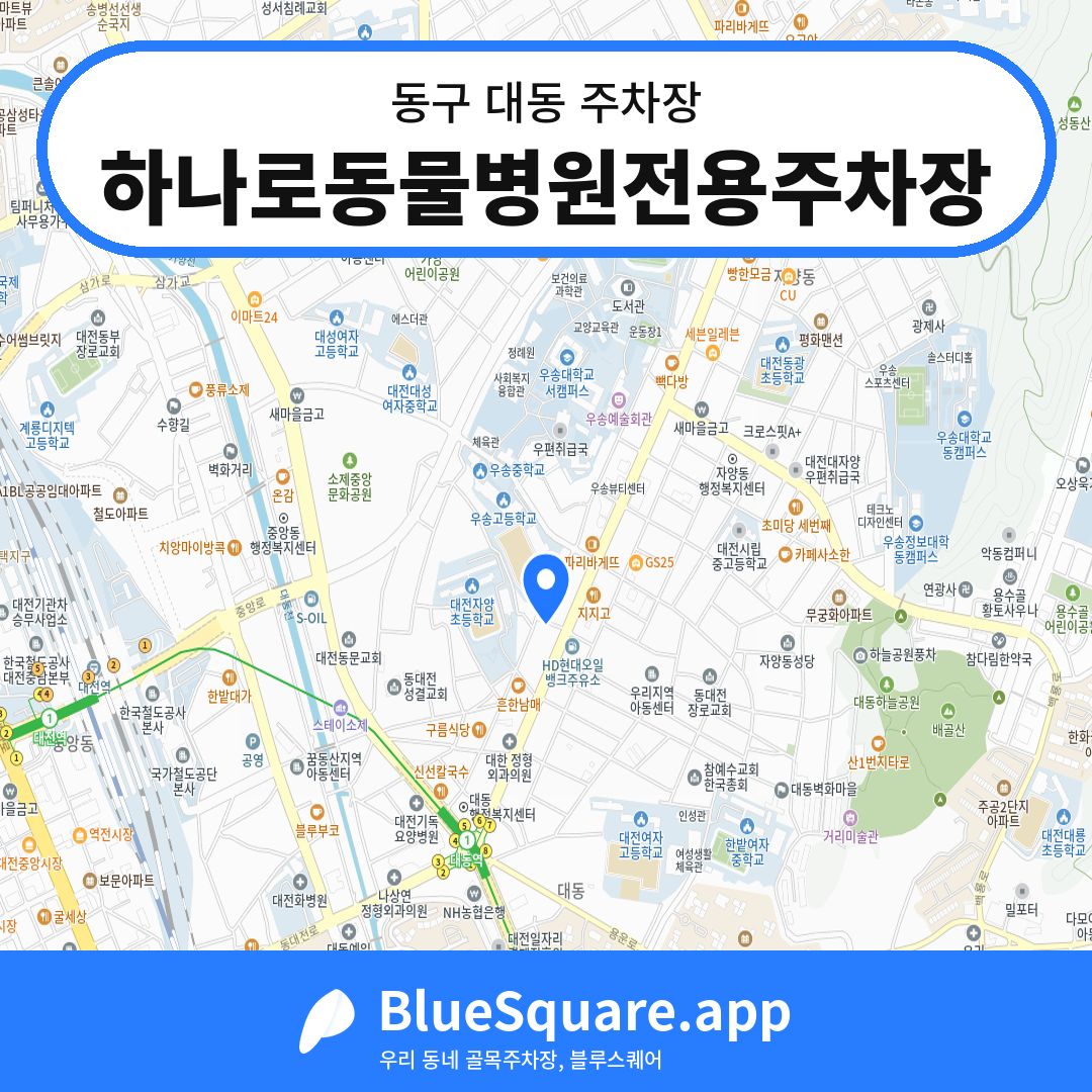 하나로동물병원전용주차장 위치 지도 — 대전 동구 대동 | 블루스퀘어 주차