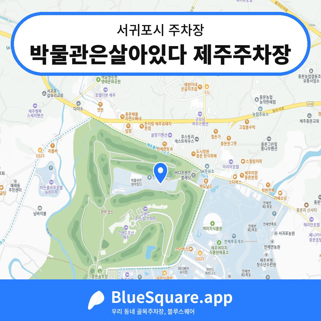 박물관은살아있다 제주주차장 위치 지도 — 제주 서귀포시 | 블루스퀘어 주차