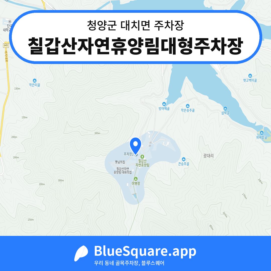 칠갑산자연휴양림대형주차장 위치 지도 — 충남 청양군 대치면 | 블루스퀘어 주차