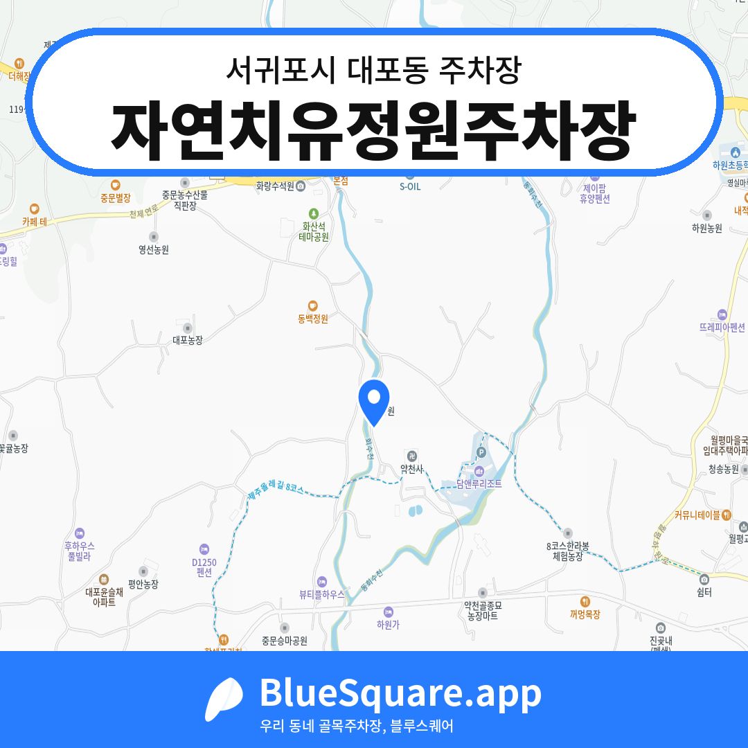 자연치유정원주차장 위치 지도 — 제주 서귀포시 대포동 | 블루스퀘어 주차