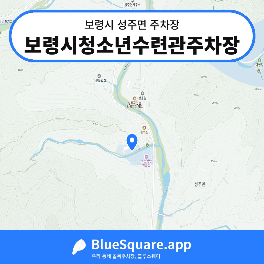 보령시청소년수련관주차장 위치 지도 — 충남 보령시 성주면 | 블루스퀘어 주차