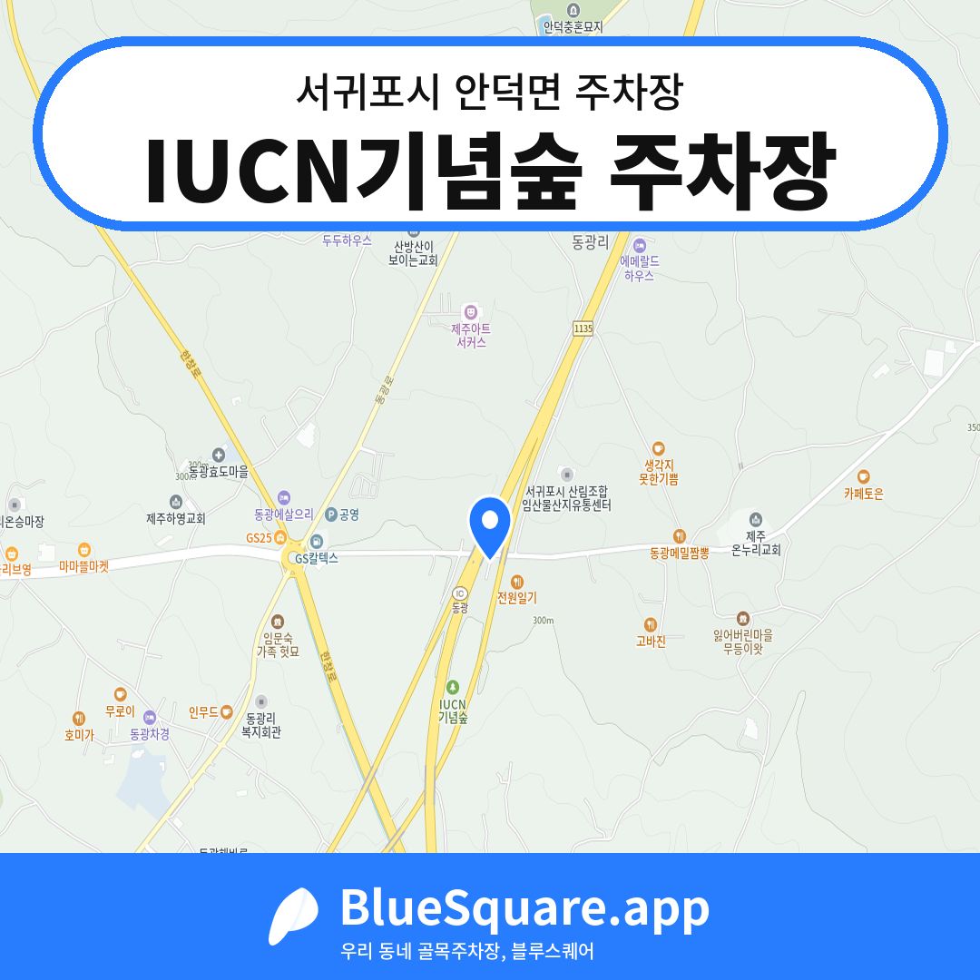 IUCN기념숲 주차장 위치 지도 — 제주 서귀포시 안덕면 | 블루스퀘어 주차
