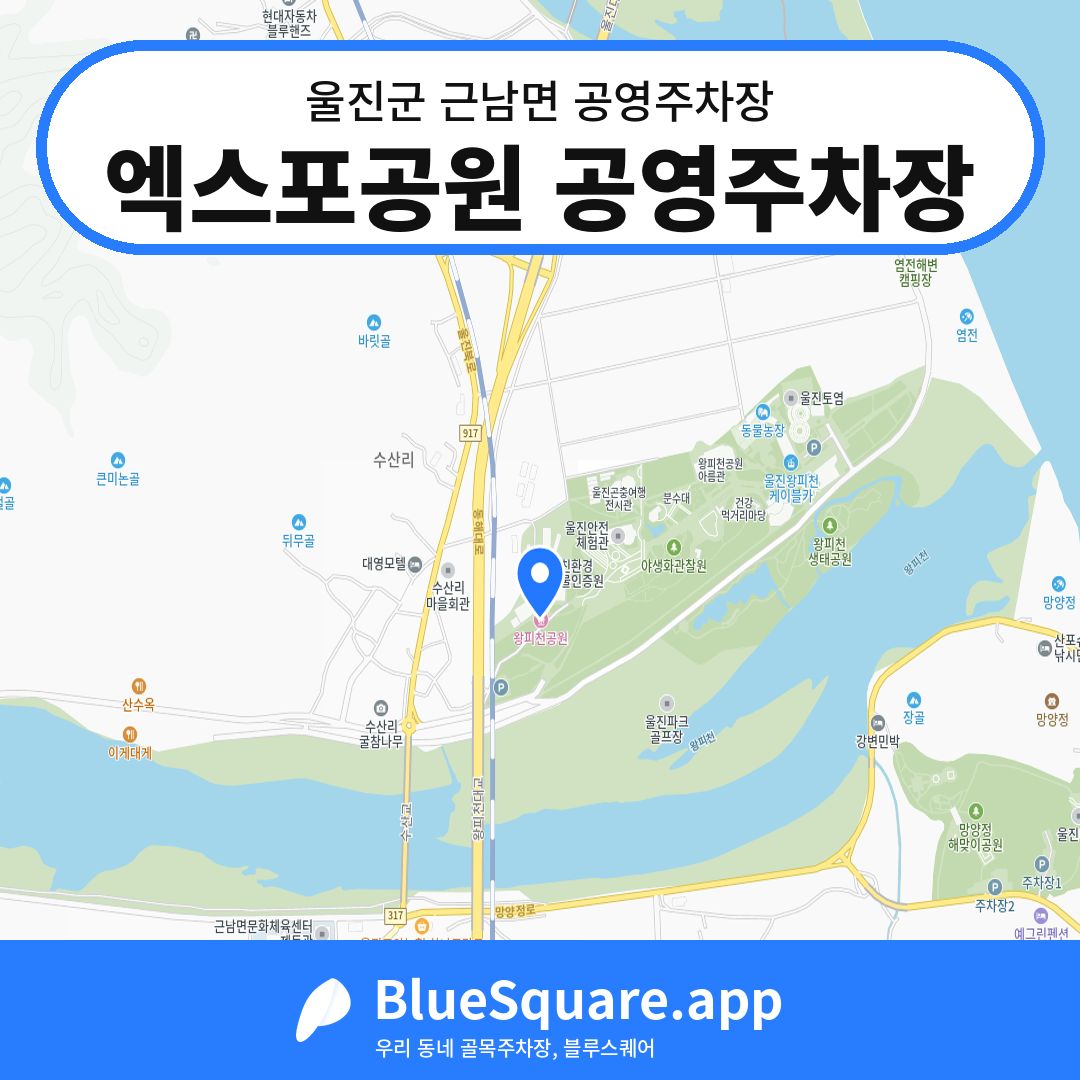 엑스포공원 공영주차장 위치 지도 — 경북 울진군 근남면 | 블루스퀘어 주차